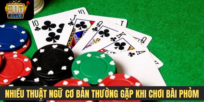 Nhiều thuật ngữ cơ bản và thường gặp khi chơi bài Phỏm